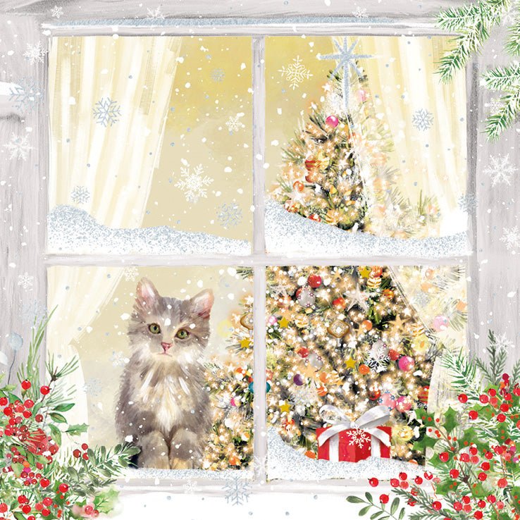 RSPCA Christmas Cards Kitten in the Window