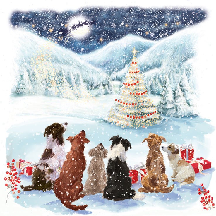 RSPCA Christmas Cards Waiting for Santa