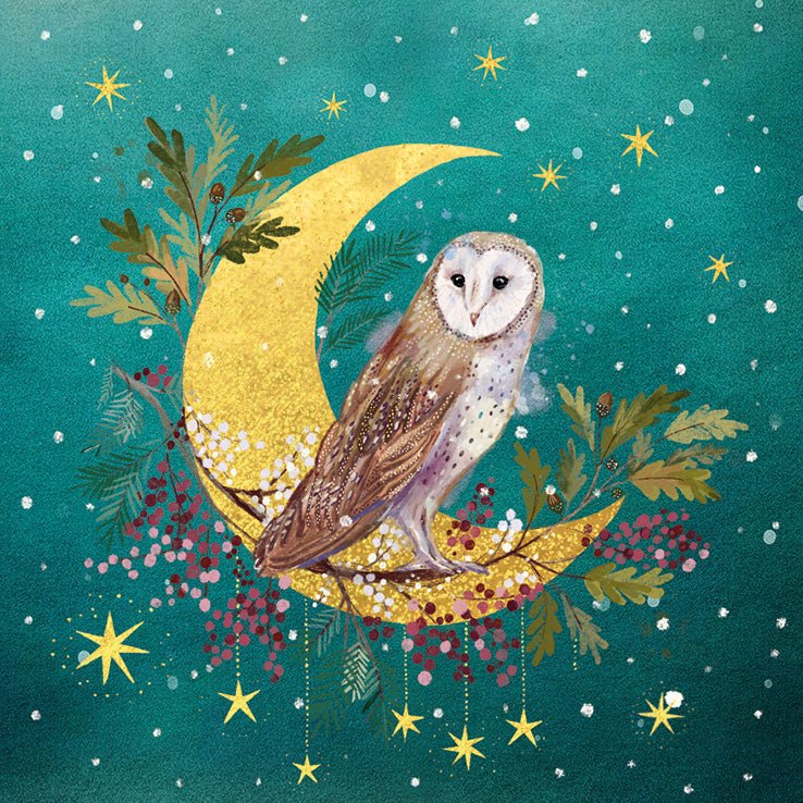 RSPCA Christmas Cards Owl in the Crescent Moon