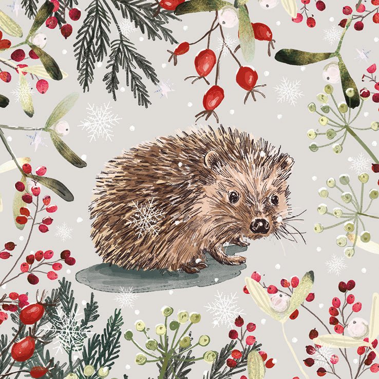 RSPCA Christmas Cards Christmas Hedgehog