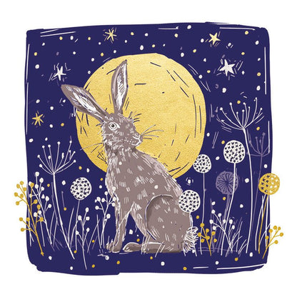 RSPCA Christmas Cards Moonlight Hare