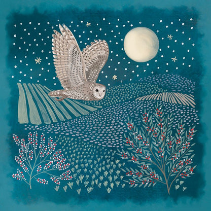 RSPCA Christmas Cards Owl in the Moonlight