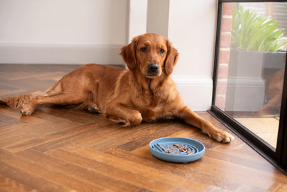 Silicone Slow Feeder Bowl - Slate