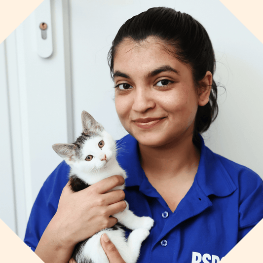 Support the RSPCA with a Donation