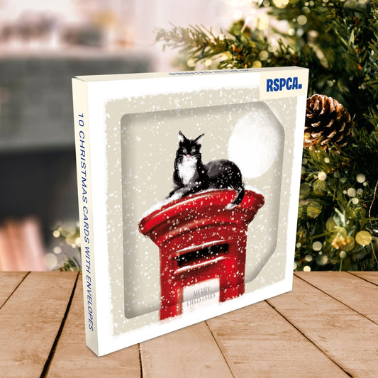 RSPCA Christmas Cards Cat on the Postbox