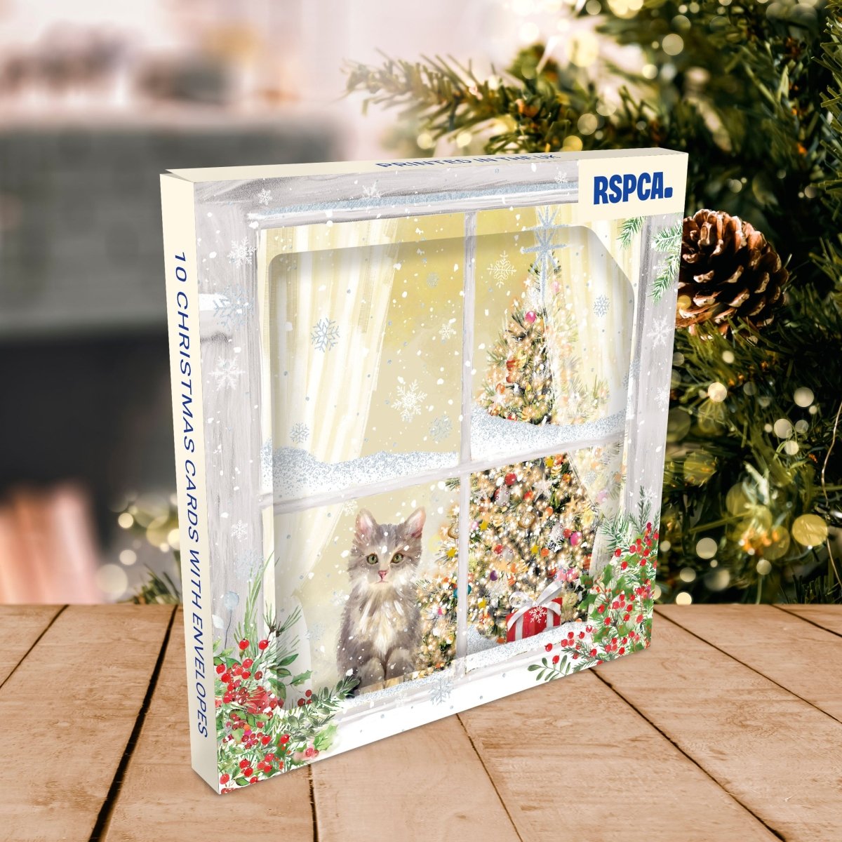 RSPCA Christmas Cards Kitten in the Window