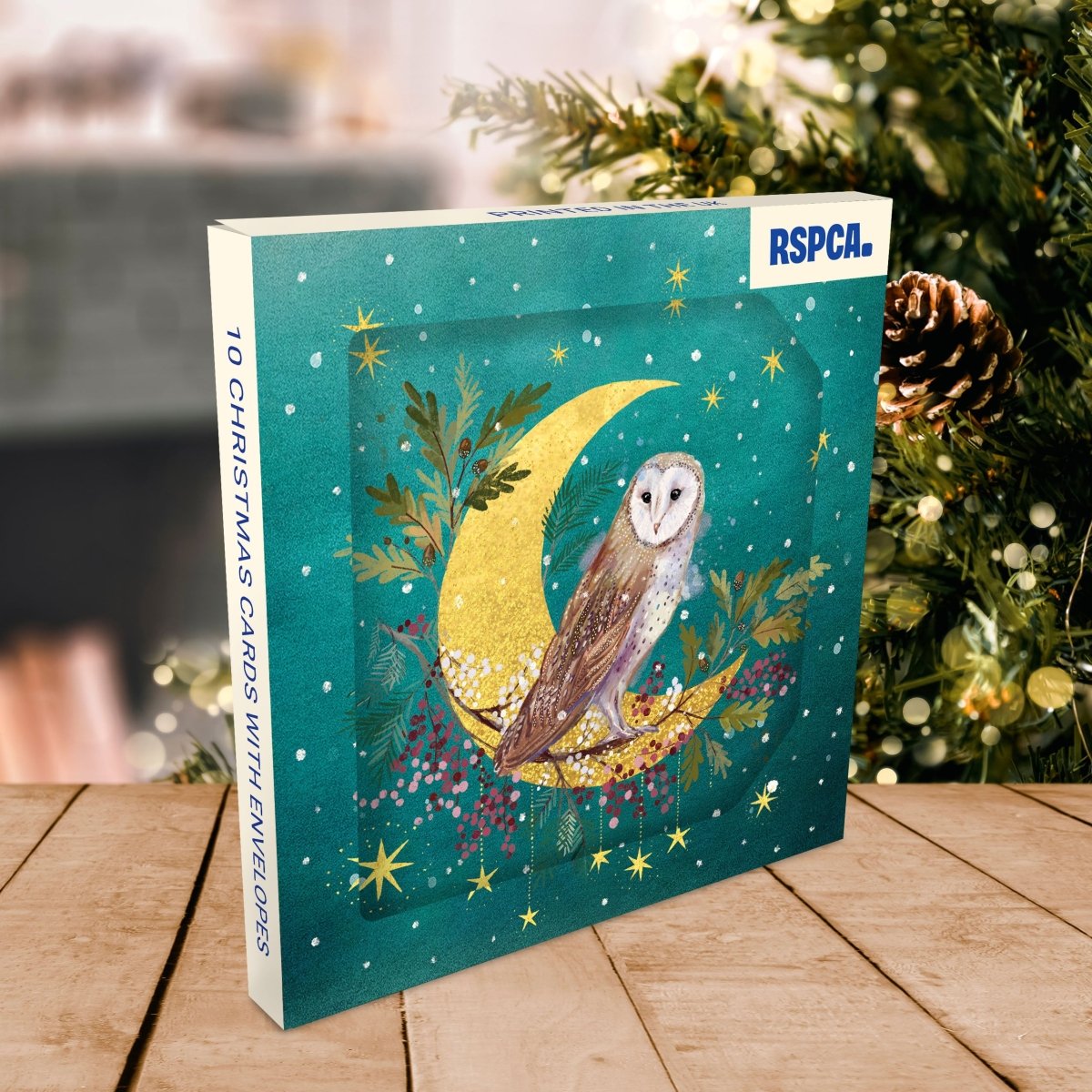 RSPCA Christmas Cards Owl in the Crescent Moon