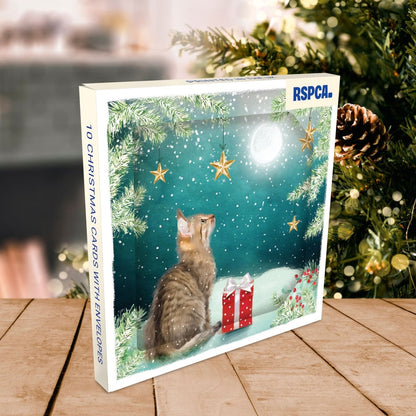 RSPCA Christmas Cards Cat in the Moonlight