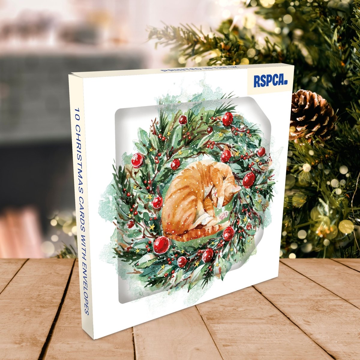 RSPCA Christmas Cards Please Do Not Disturb