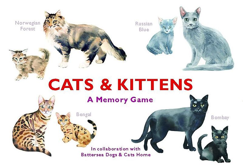 Cats And Kittens Memory Game