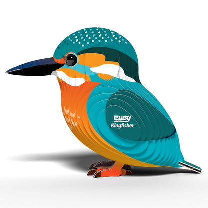 EUGY Kingfisher 3D Model