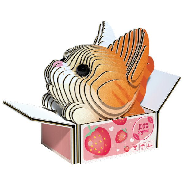 EUGY Pumpkin Cat 3D Model