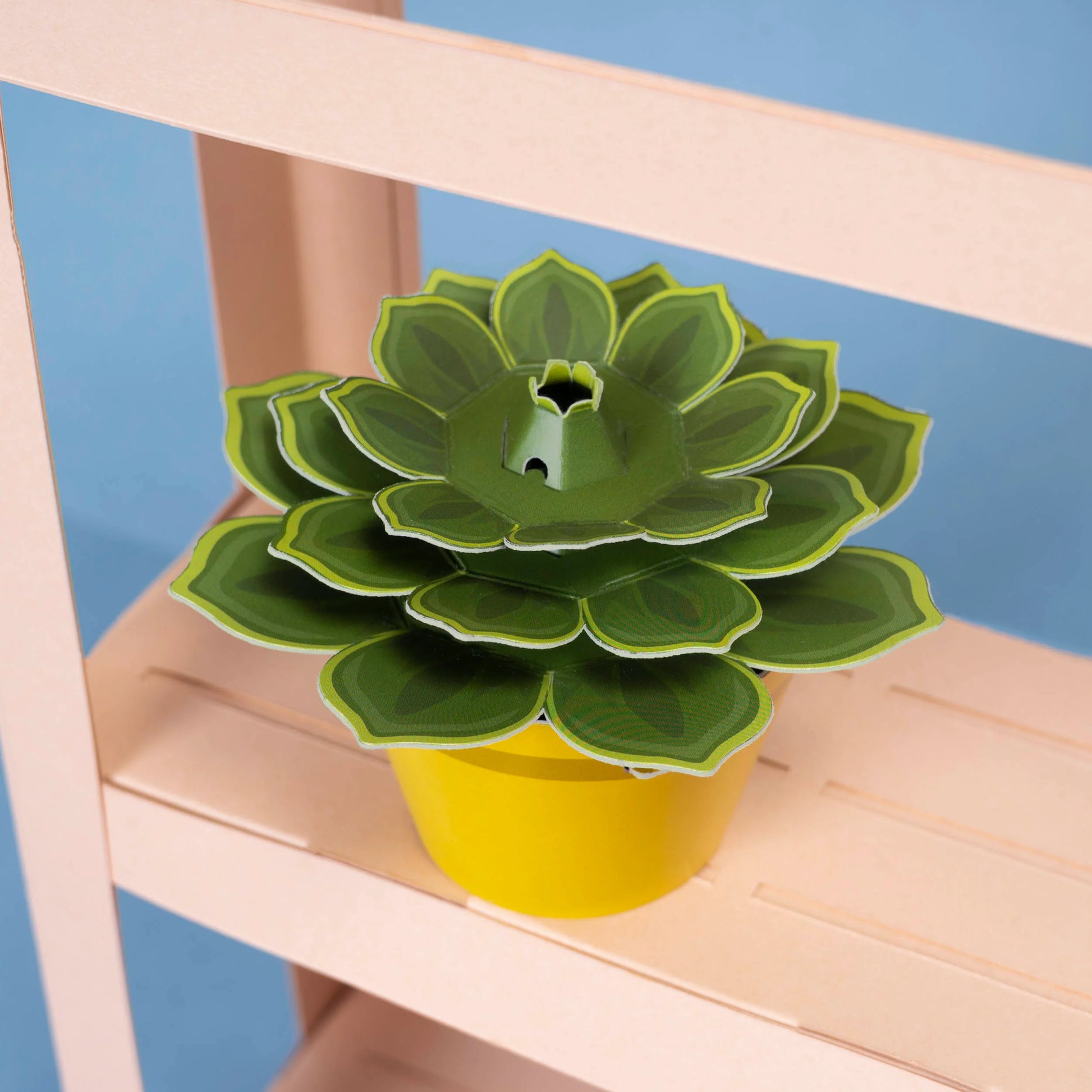 plant your own succulent kit Mini Paper Plant Kit