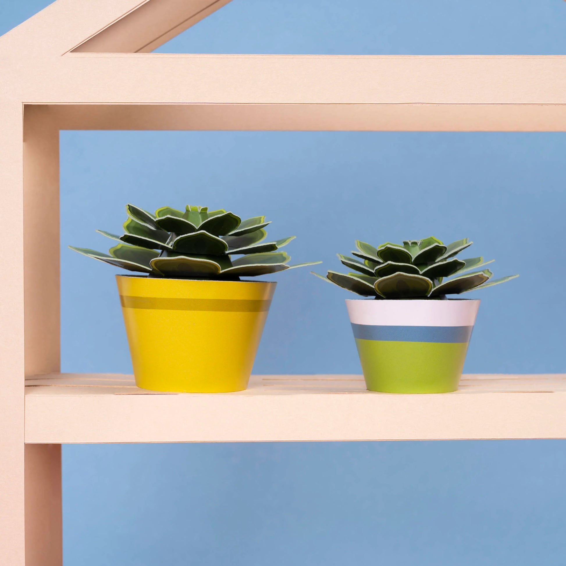 soothing succulent Mini Paper Plant Kit