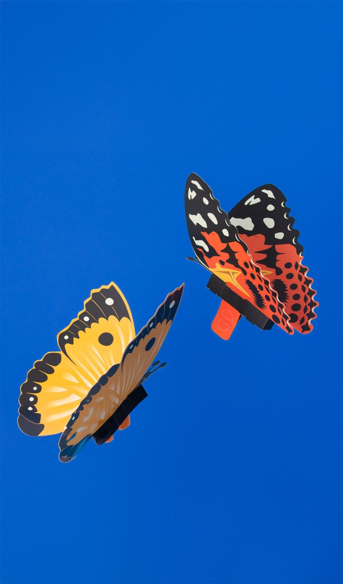 Create your own Fluttering Butterflies