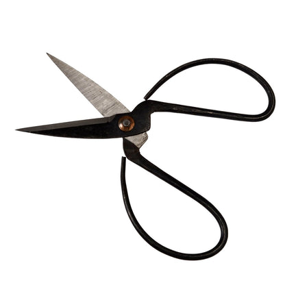 Your Garden Gardener's Scissors - 