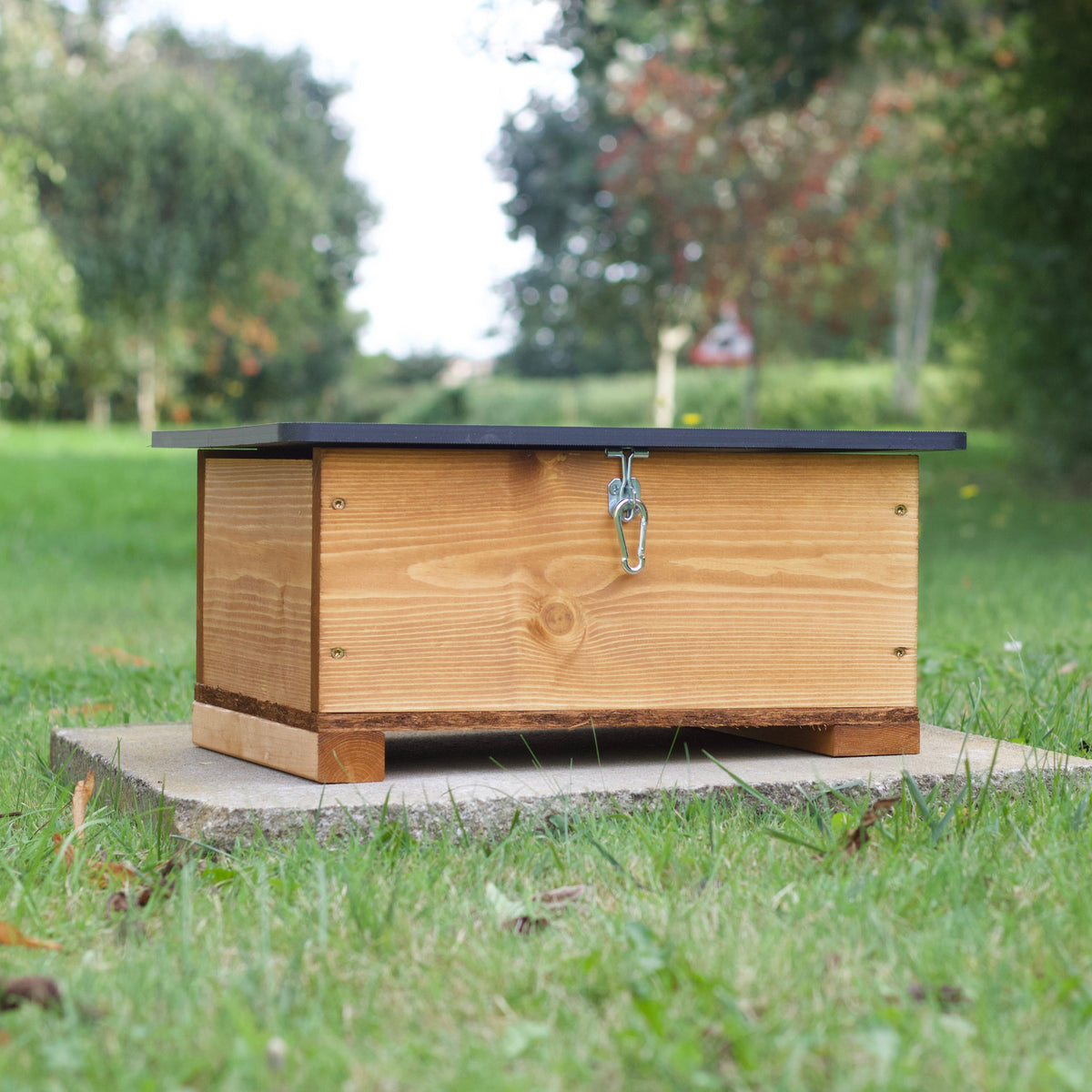 Classic Hedgehog House