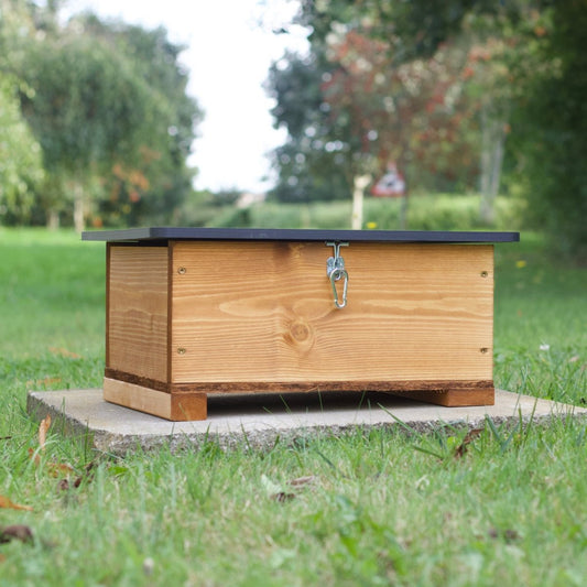 Classic Hedgehog House