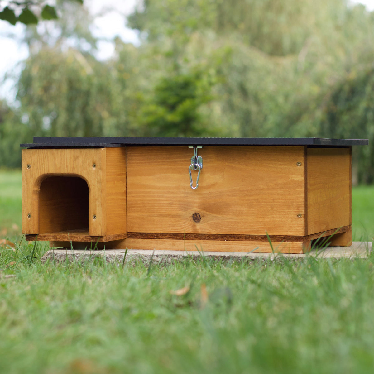 Deluxe Hedgehog House