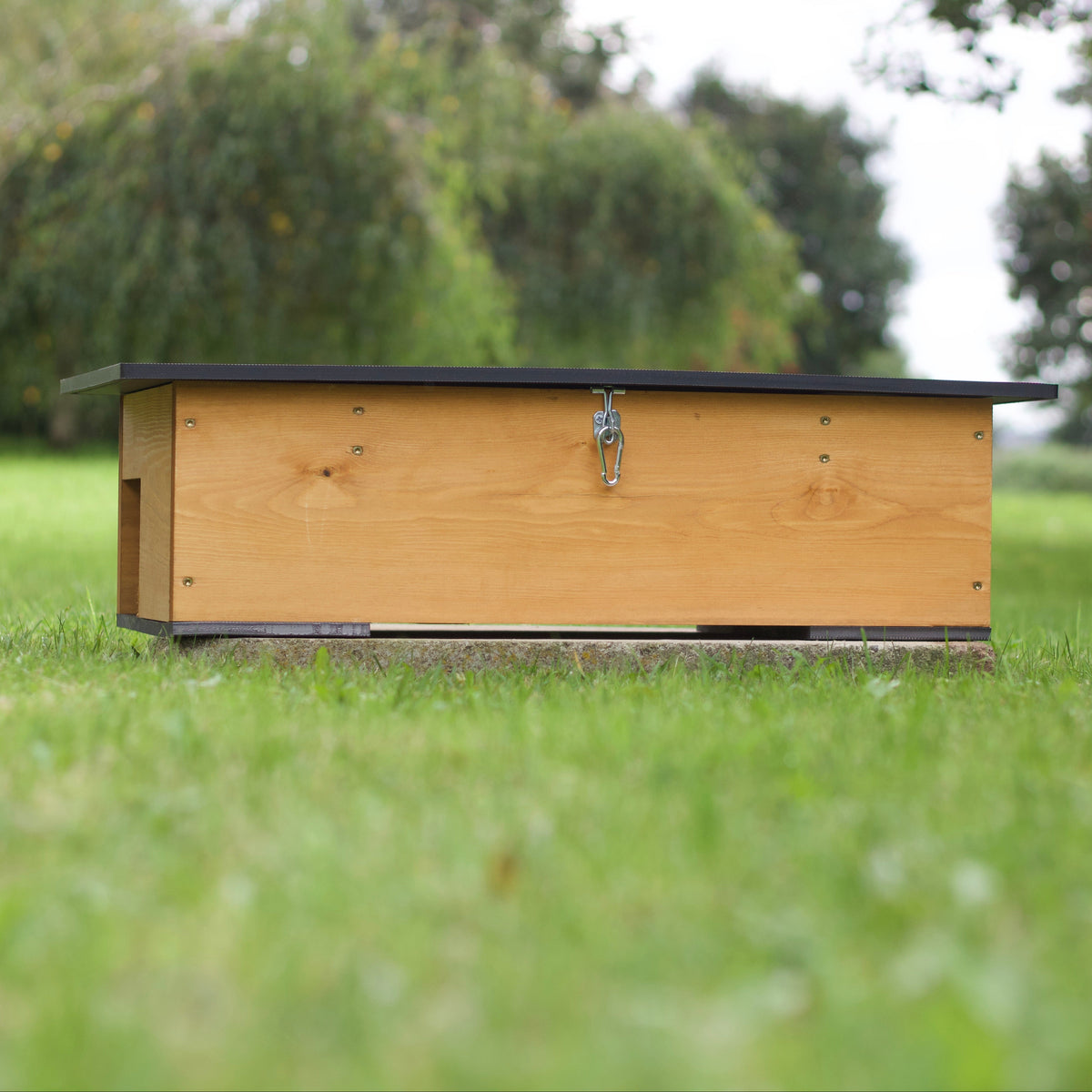 Hedgehog Two-way Feeding Station