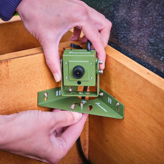 HD Wildlife Camera for Hedgehog or Bird Houses