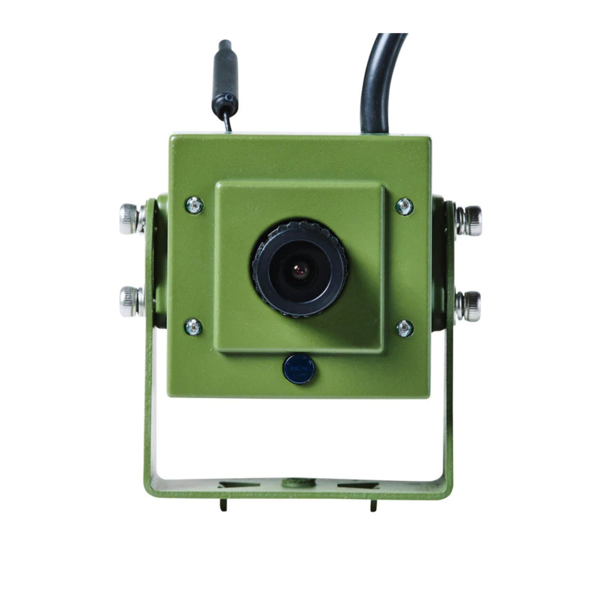 HD Wildlife Camera for Hedgehog or Bird Houses