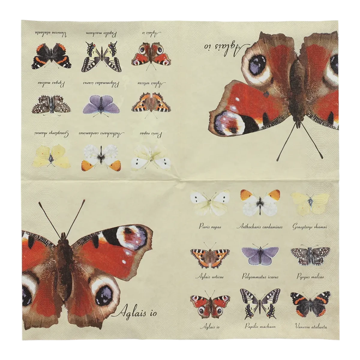 Butterfly Paper Napkins