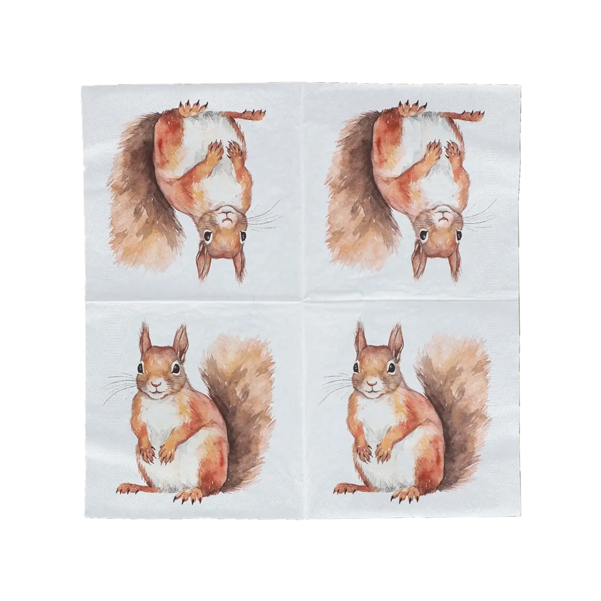 Red Squirrel Paper Napkins