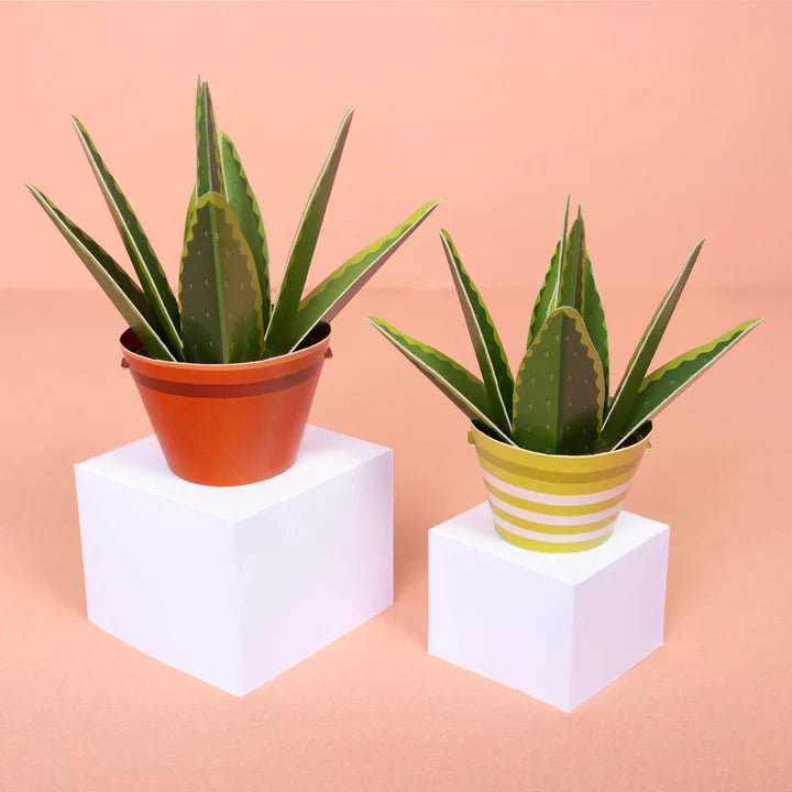 Mini Plant Making Kit - Make Your Own Healing Aloe Vera