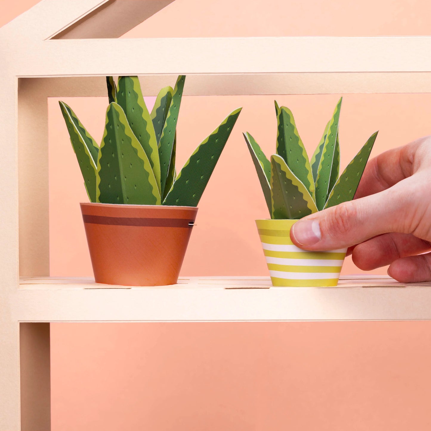Mini Plant Making Kit - Make Your Own Healing Aloe Vera