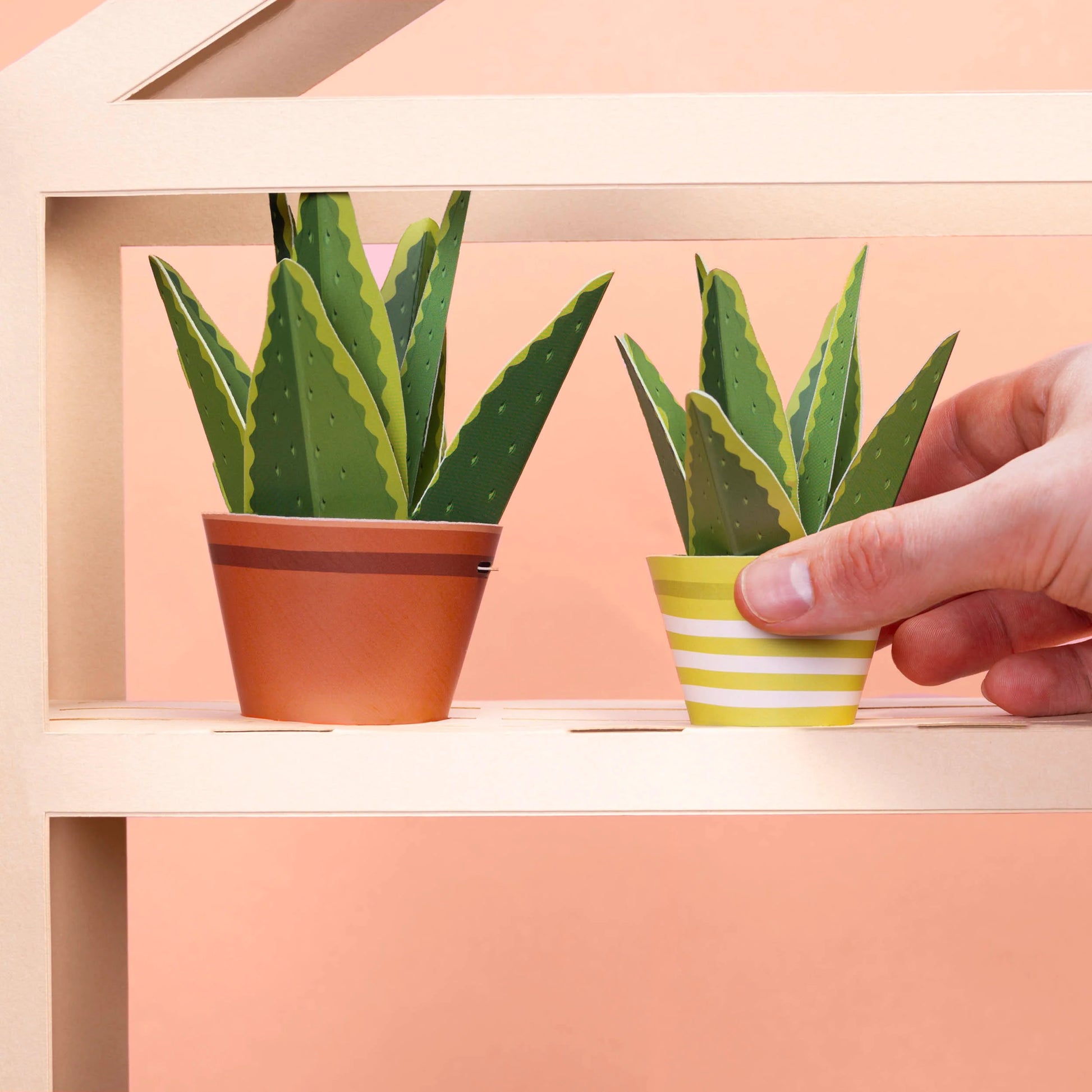 Mini Plant Making Kit - Make Your Own Healing Aloe Vera