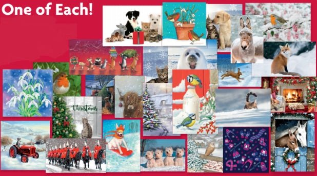 Mixed Bundle Bargain Selection of Christmas Cards (20 packs of 10 cards)