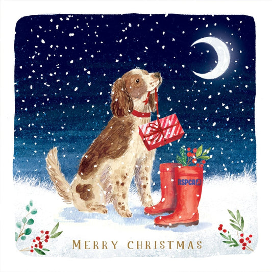 Monty the Dog RSPCA Charity Christmas Cards 2025 10 pack