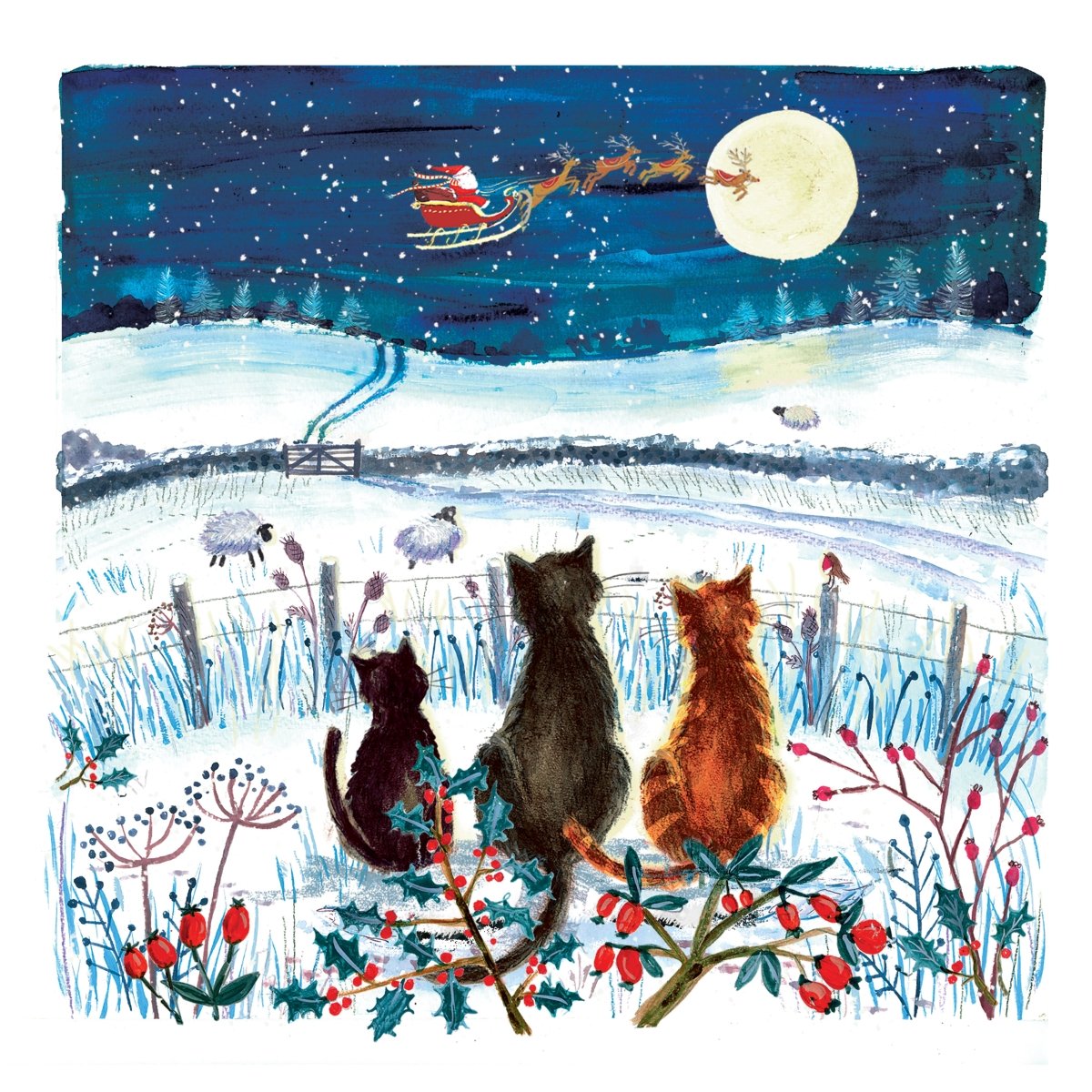 Cats Watching Santa RSPCA Charity Christmas Cards 2025 10 pack
