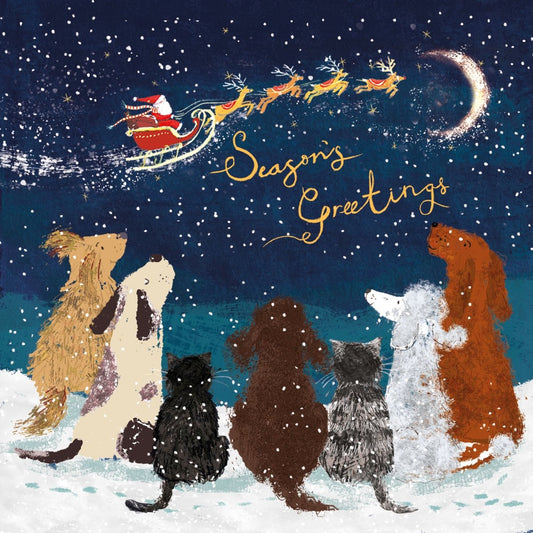 Watching Santa RSPCA Charity Christmas Cards 2025 10 pack