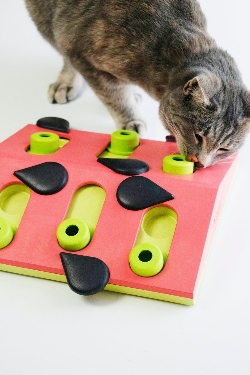 Nina Ottosson Melon Madness Puzzle Play Cat Puzzle Game