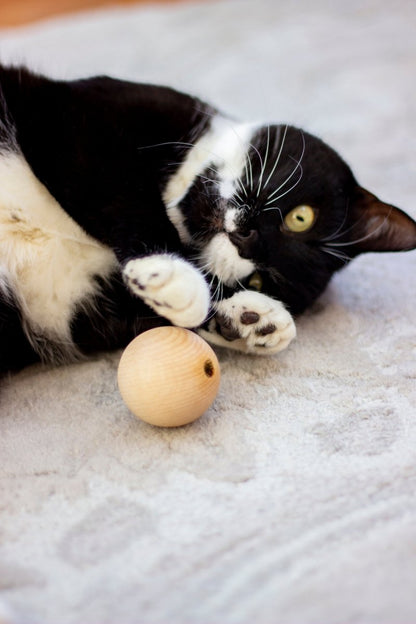 Catnip Wooden Ball