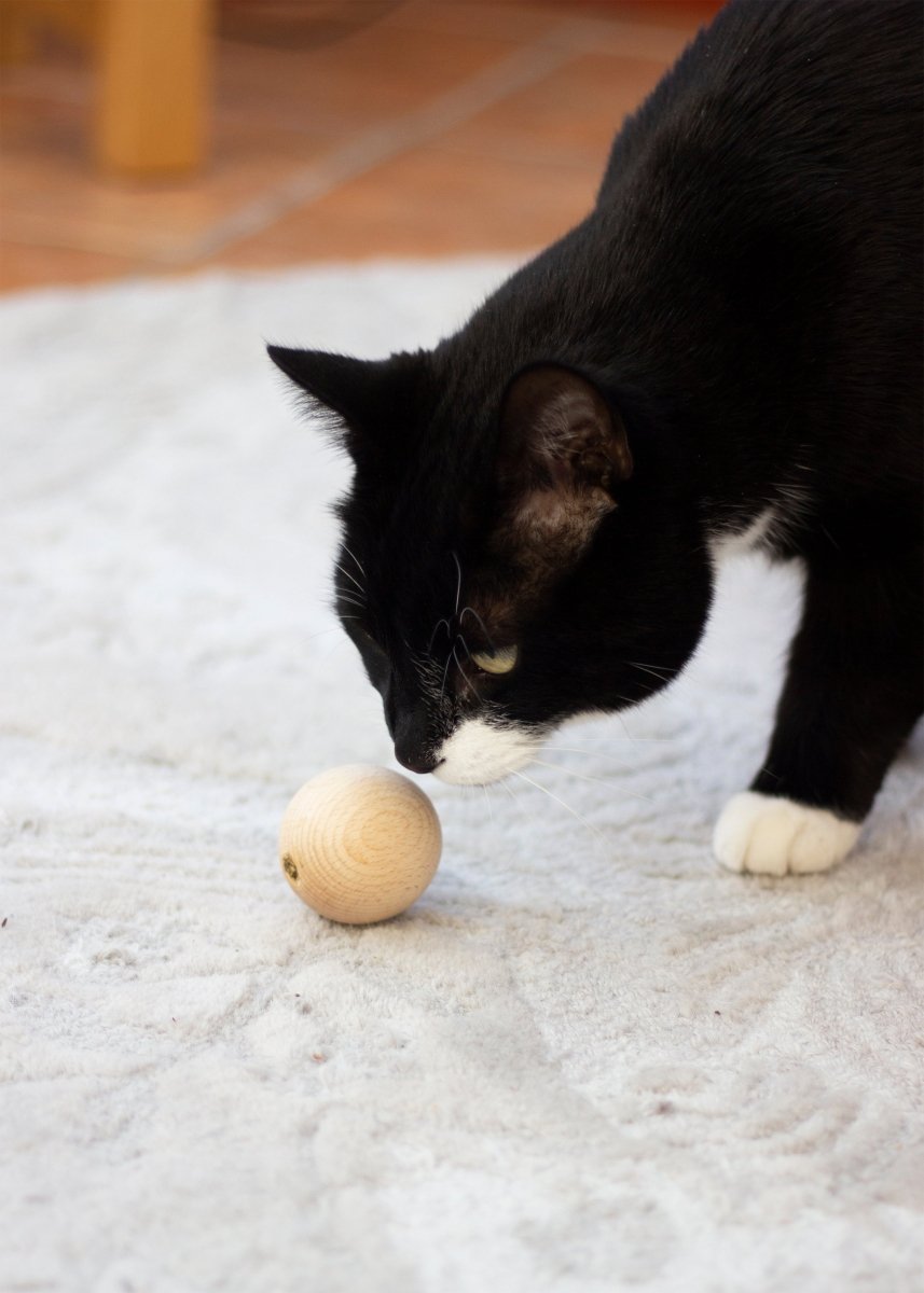 Catnip Wooden Ball