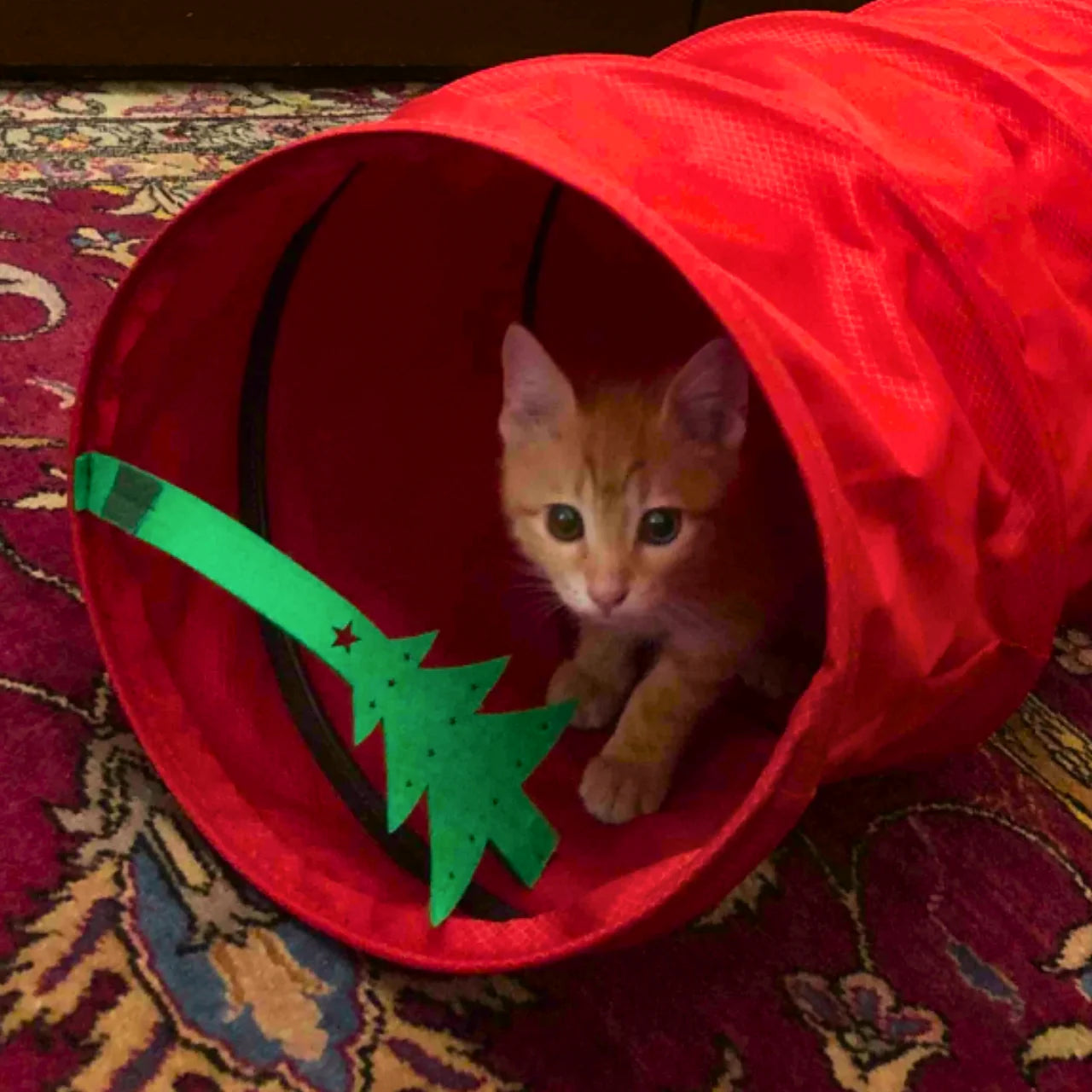 MyMeow Red Christmas Tree Cat Tunnel