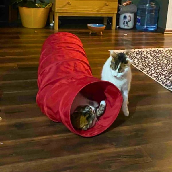 MyMeow Red Christmas Tree Cat Tunnel