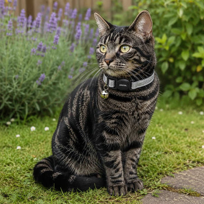 Cat Safety Collar, Reflective