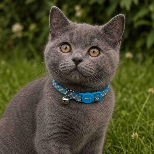 Cat Safety Collar, Blue Reflective Zig Zag Print