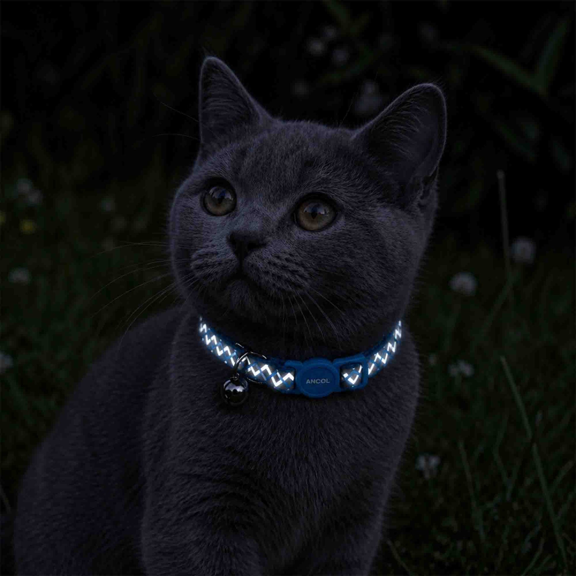 Cat Safety Collar, Blue Reflective Zig Zag Print