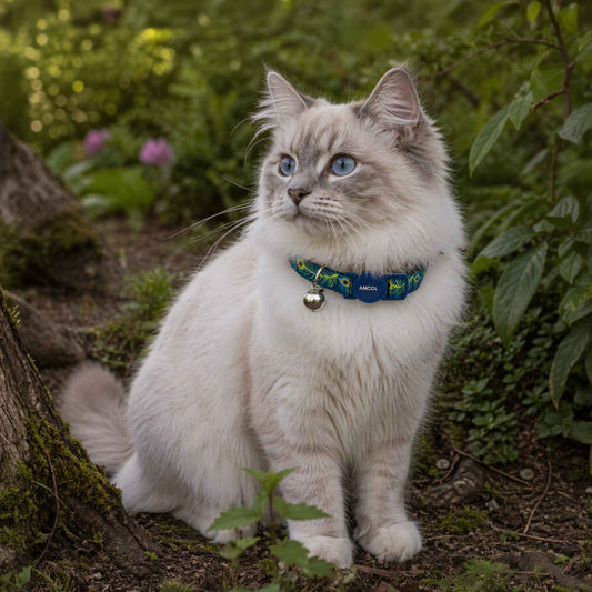 Cat Safety Collar, Peacock Print