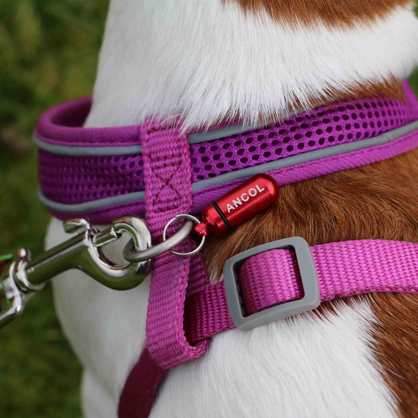 Aluminium ID Tube For Dog Collars
