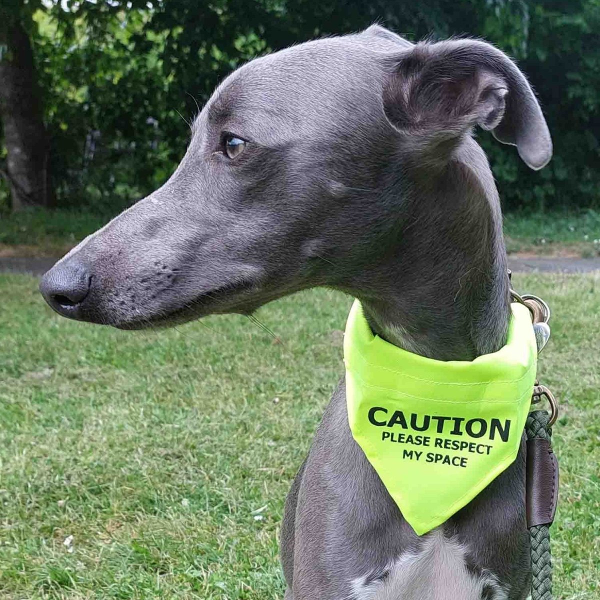 Yellow 'Respect My Space' Dog Bandana