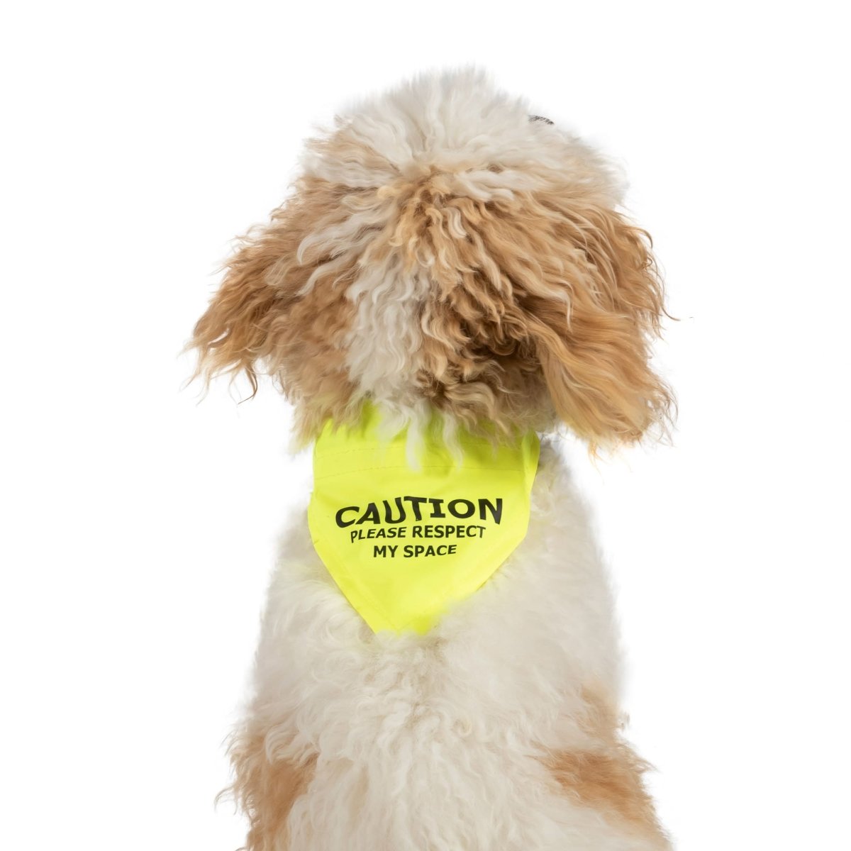 Yellow 'Respect My Space' Dog Bandana