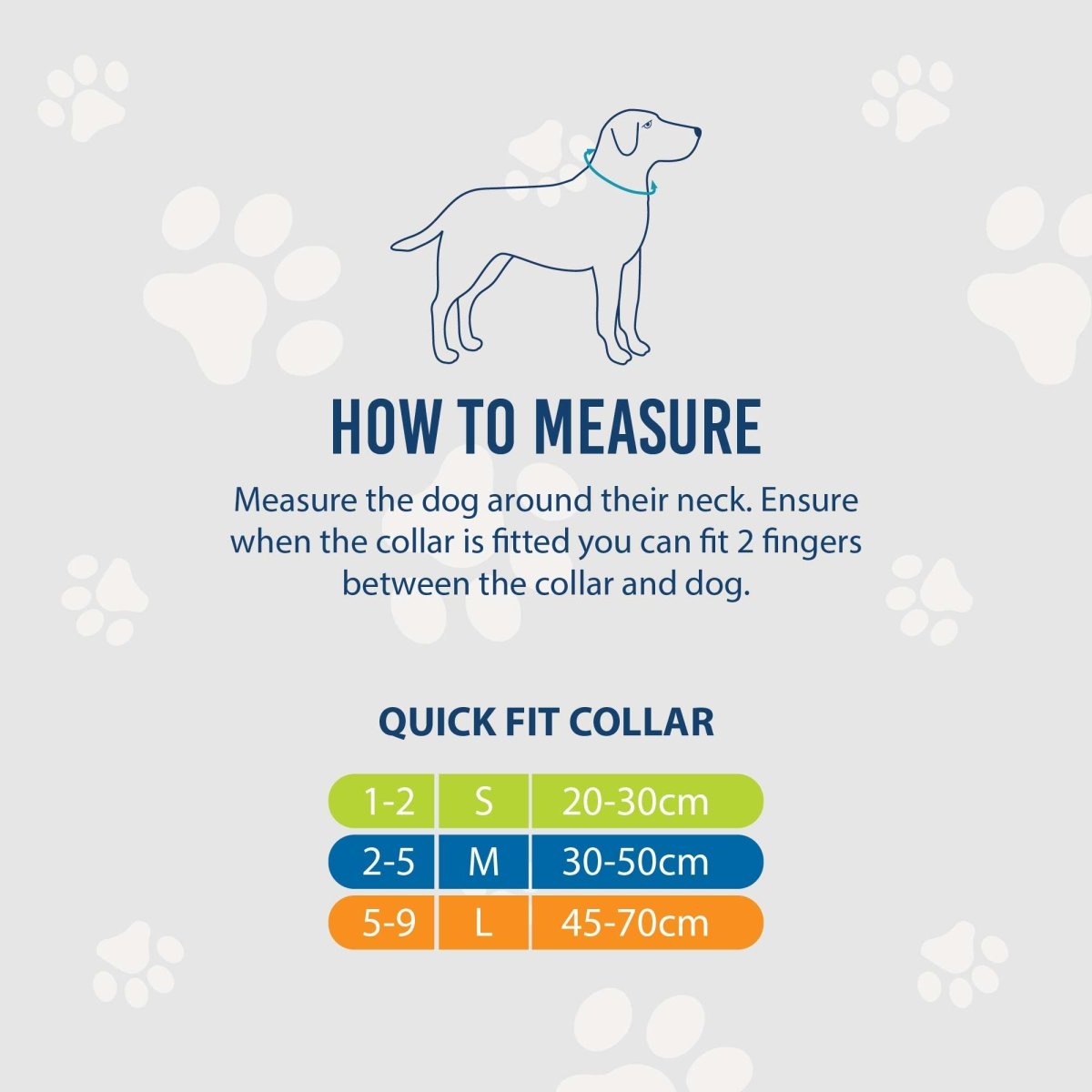Ancol Nylon Rainbow Stripe Dog Collar