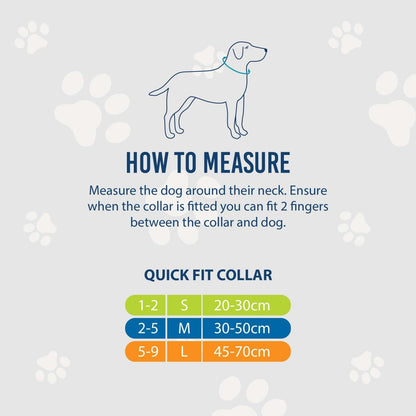 Ancol Nylon Rainbow Stripe Dog Collar