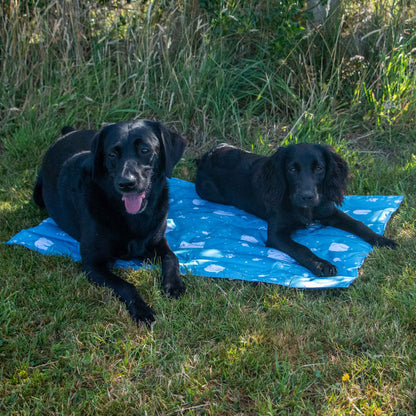 Ice Paws Cooling Mat